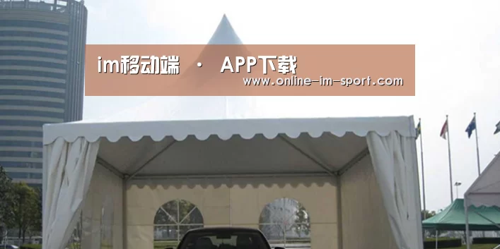 案例标题八(图1)