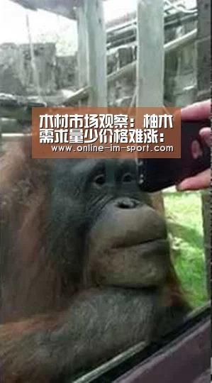 木材市场观察:柚木需求量少价格难涨:im体育(图1) im体育下载