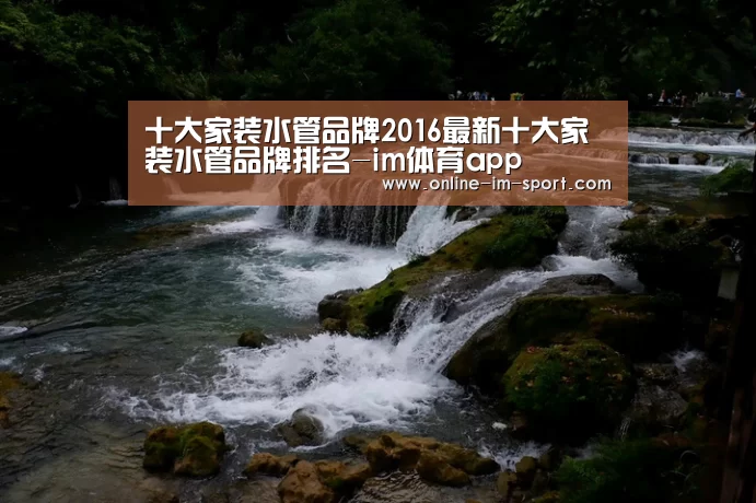 十大家装水管品牌2016最新十大家装水管品牌排名-im体育app(图3) im体育app