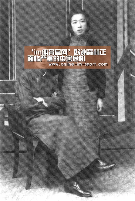 ‘im体育官网’欧洲森林正面临严重的虫害危机(图1) im体育