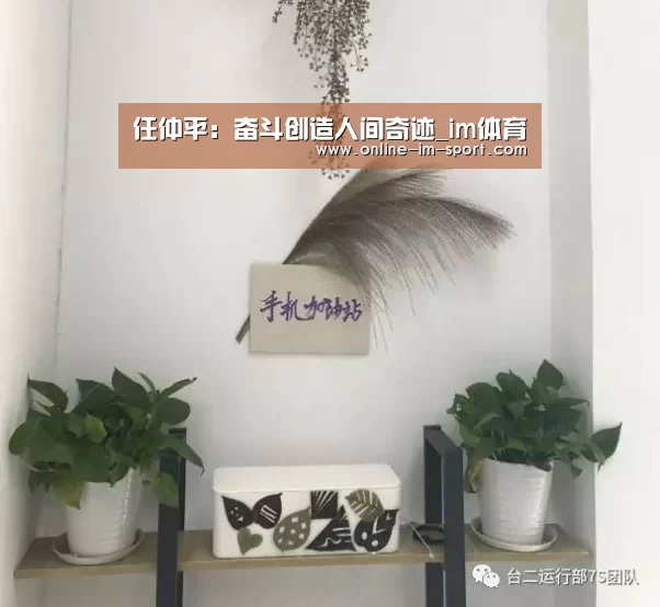 im体育下载