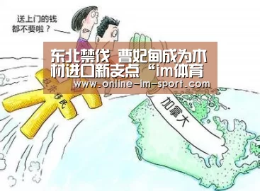 im体育