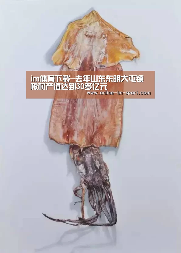 im体育下载-去年山东东明大屯镇板材产值达到30多亿元(图1) im体育官网